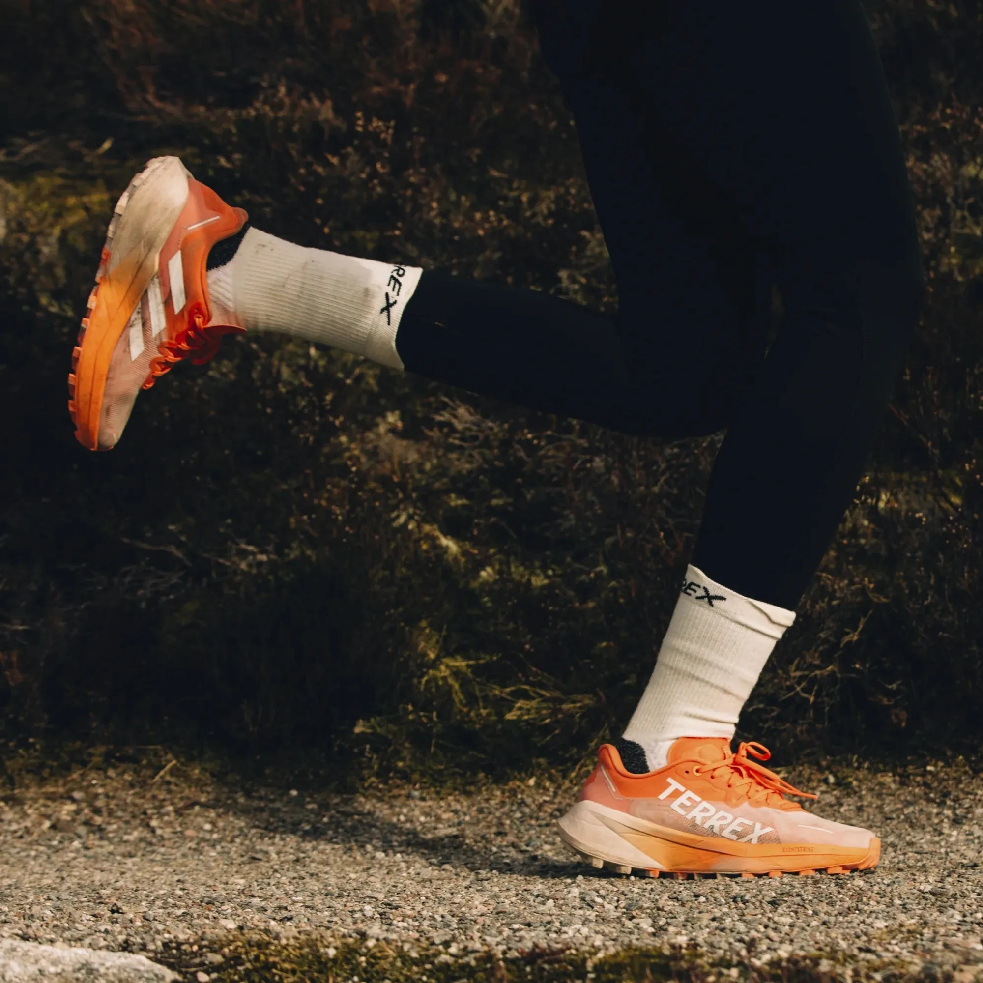 Cushioned Trail Running Shoes -> Cushioned Trail Running Shoes adidas Terrex Agravic Flow 3 | Amber Tint / Crystal White / Putty Mauve | Womens