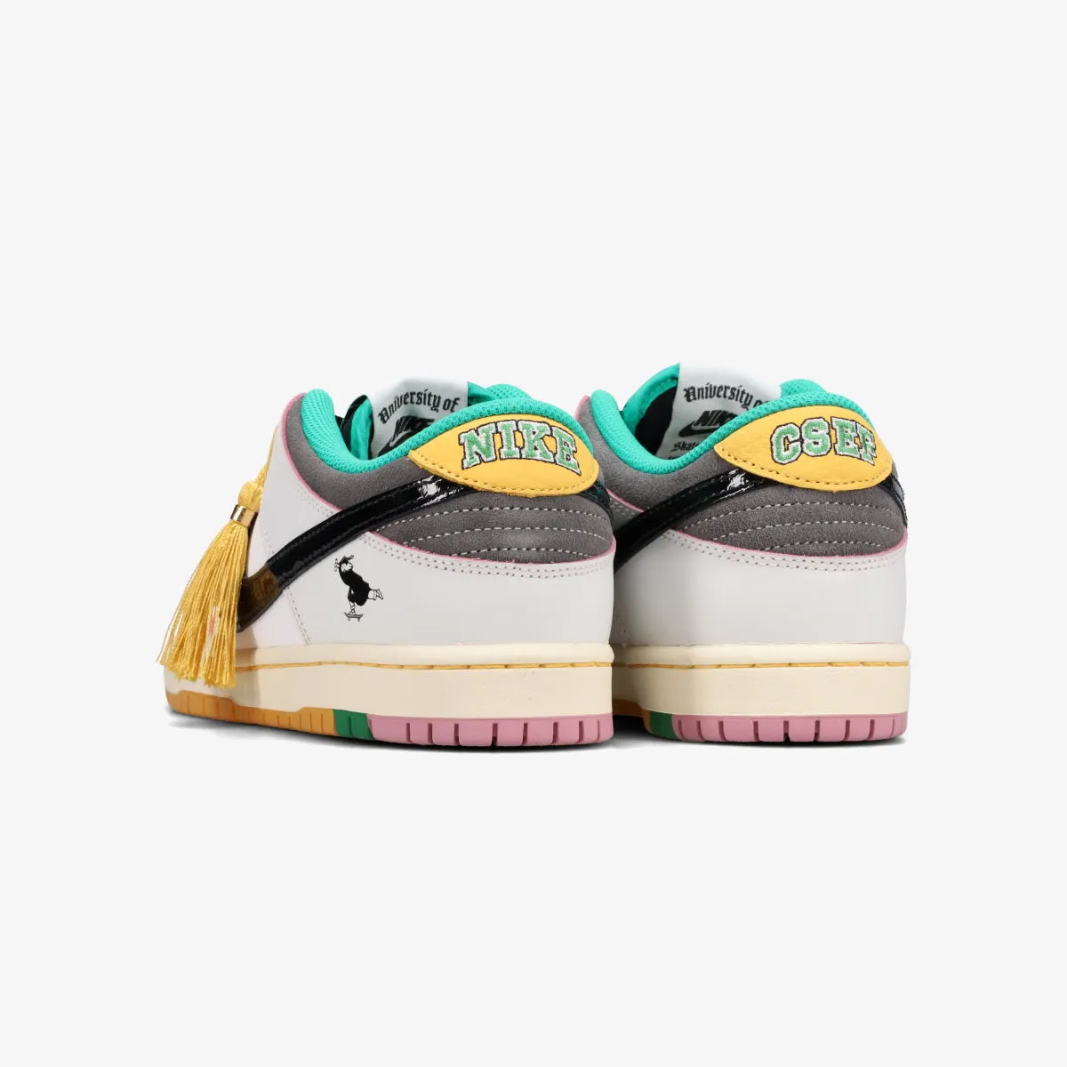 NIKE SB DUNK LOW PRO  CSEF Rodman Nike Shoe