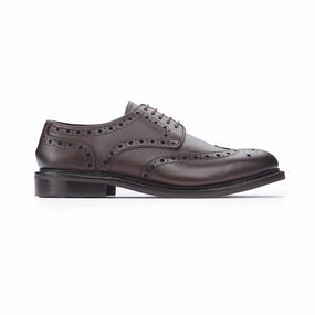 And1 Fundamental Low Top Shoe Derby Brogue - Dark Brown