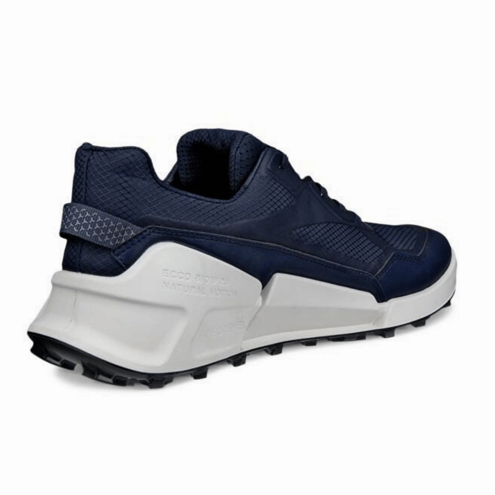 ECCO Mens Biom 2.1X MTN GORE-TEX Trainers Cute Hiking Boots Waterproof