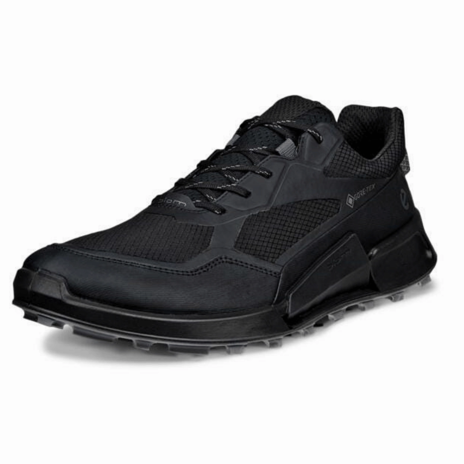 Hiking Boots North Face ECCO Mens Biom 2.1X MTN GORE-TEX Trainers