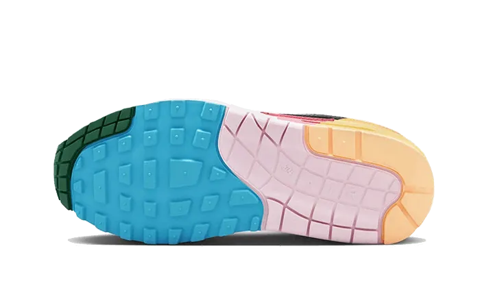 Nike Air Max 1 Multi-Color Janoski Nike Skate Shoes