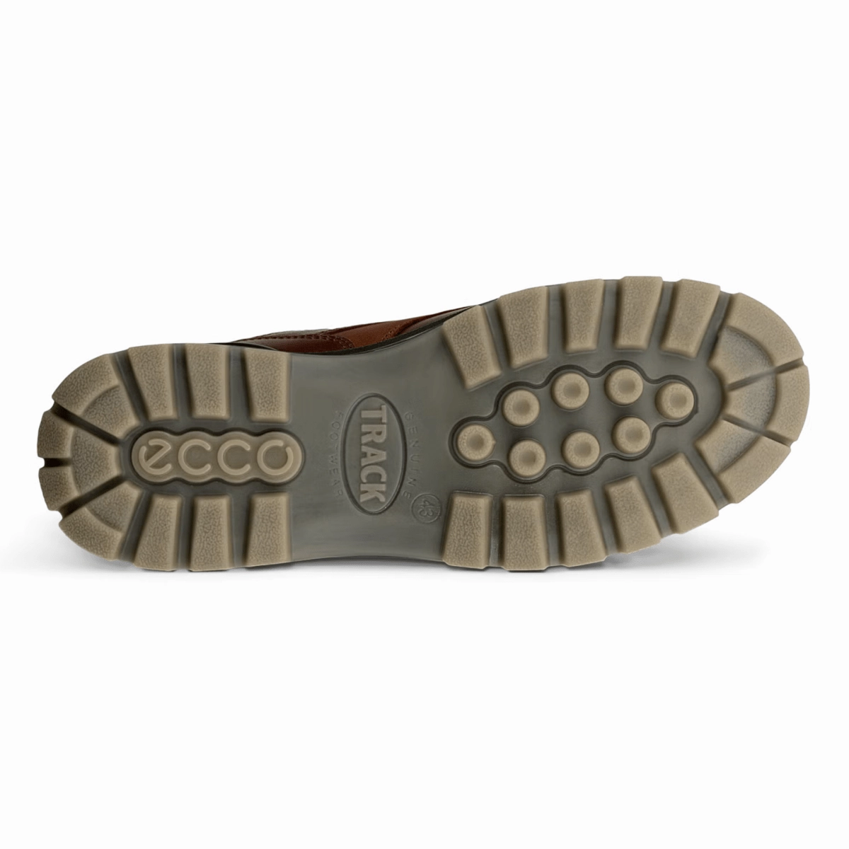 Everlane Oxfords Ecco Men's Track 25 Low Gore-Tex Bison Nubuck