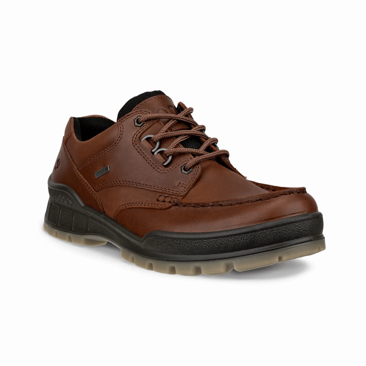 Shoe Stores Oxford Ecco Men's Track 25 Low Gore-Tex Bison Nubuck