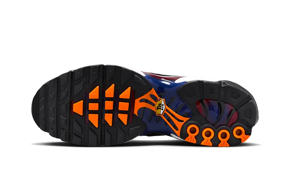 Nike Air Max Plus Patta FC Barcelona Nike Flex Shoe