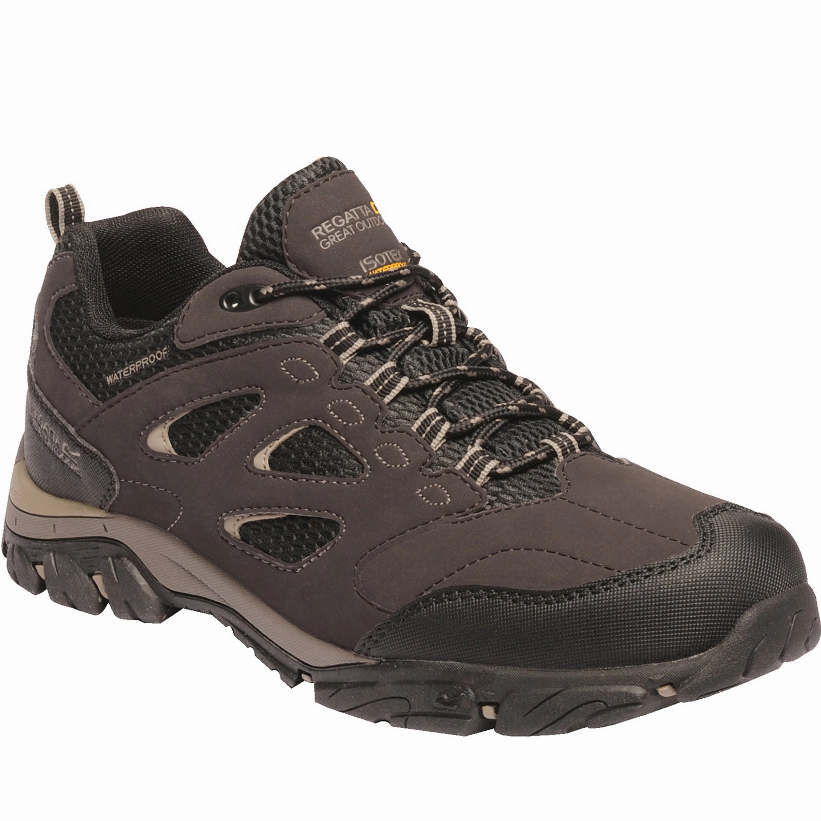 Regatta Mens Holcombe Waterproof Low Walking Shoes