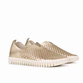 Tulip Metallic Slip On - Platin Graduation Flat Shoes